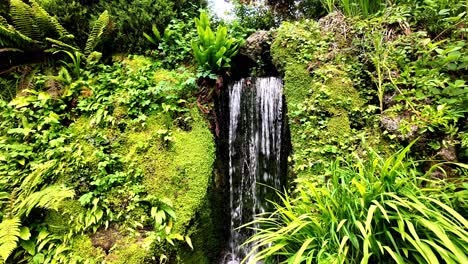 Powerscourt-Gardens-wicklow-waterfall-Japanese-gardens-in-the-garden-of-Ireland-epic-locations