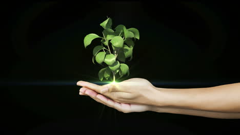 Manos-Presentando-Crecimiento-De-Plantas-Verdes-Digitales