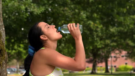 Bonita-Morena-Bebiendo-De-Una-Botella-De-Agua.