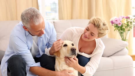 Happy-couple-stroking-labrador-on-couch