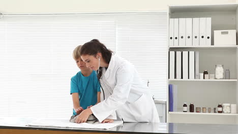 Vet-checking-a-grey-bunny-with-its-owner