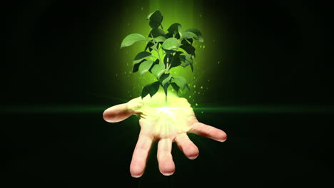 Hand-presenting-digital-green-plant-growing