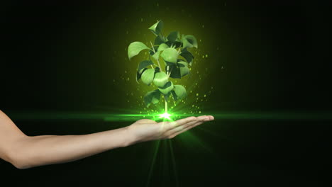 Hand-Präsentiert-Digitale-Grüne-Pflanze-Wächst