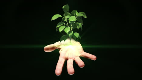 Hand-presenting-digital-green-plant-growing