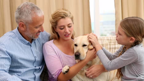 Glückliche-Familie-Streichelt-Labrador-Auf-Der-Couch