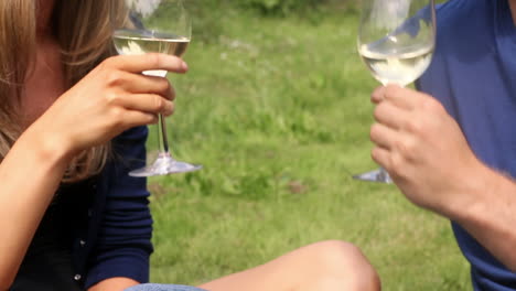 Paar-Trinkt-Zusammen-Weißwein