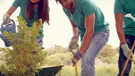 In-high-quality-format-happy-friends-gardening-for-the-community-