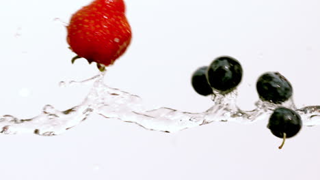 Berries-moving-through-stream-of-water