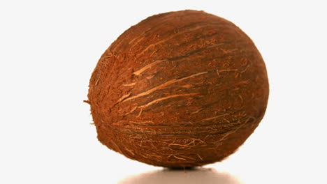 Kokosnuss-Dreht-Sich-Auf-Weißer-Oberfläche