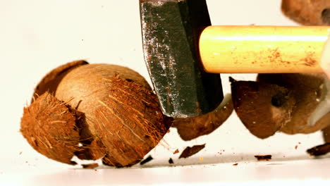 Mit-Einem-Hammer-Eine-Kokosnuss-Zertrümmern