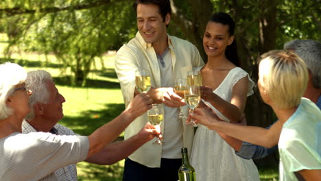 Romantic-couple-toasting-with-family-in-park