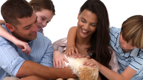 Happy-family-with-their-puppy-on-white-background