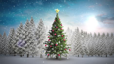 Snow-falling-christmas-tree-in-snowy-landscape