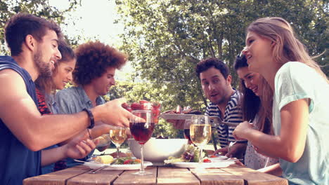 En-Formato-De-Alta-Calidad-Amigos-Felices-En-El-Parque-Almorzando