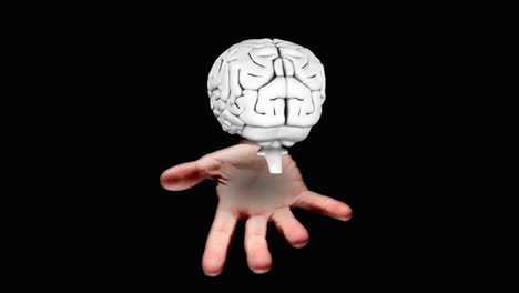 Hand-presenting-a-spinning-brain-