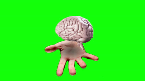 Hand-Präsentiert-Ein-Sich-Drehendes-Gehirn-