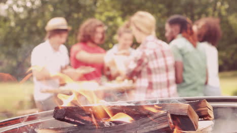 In-slow-motion-happy-friends-in-the-park-having-lunch-