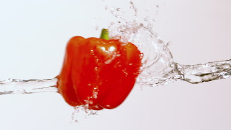 Red-pepper-moving-through-stream-of-water