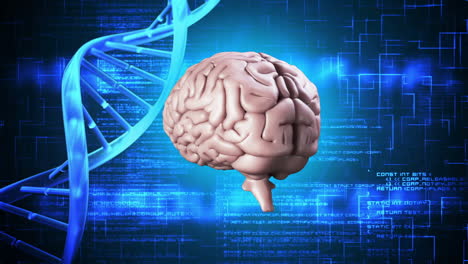 Gehirn-Dreht-Sich-Auf-DNA-Hintergrund
