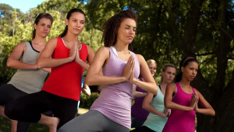 In-high-quality-format-fitness-group-doing-yoga-in-park-