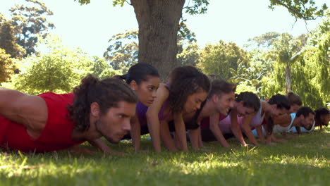 In-high-quality-format-fitness-group-doing-push-ups-in-park-