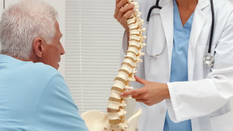 Doctor-explaining-a-spine-model-to-patient