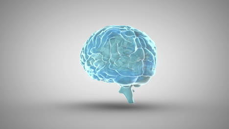 Gehirn-Dreht-Sich-Auf-Grauem-Hintergrund
