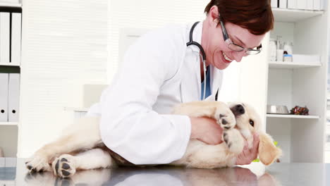 Smiling-female-vet-playing-with-cute-puppy