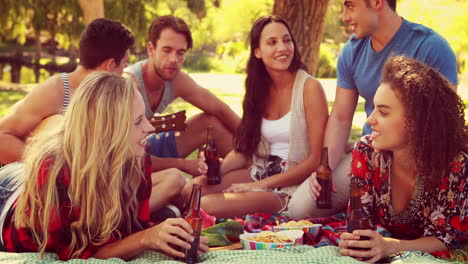 Glückliche-Freunde-Im-Park-Beim-Picknick-Und-Gitarrespielen