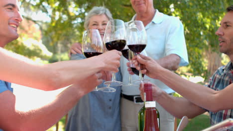 Happy-seniors-toasting-with-their-family