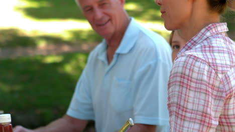 Glückliche-Familie-Mit-Picknick-Im-Park-