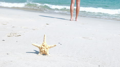 Rear-view-of-woman-and-starfish-on-the-beach