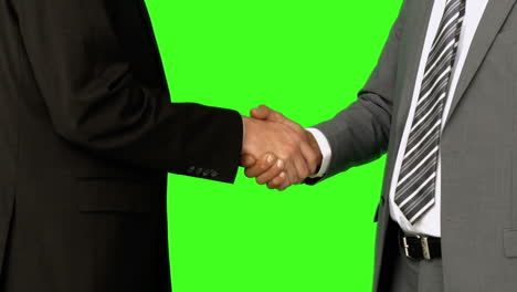 Businessmen-shaking-hands