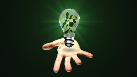 Hand-Präsentiert-Glühbirne-Mit-Pflanze