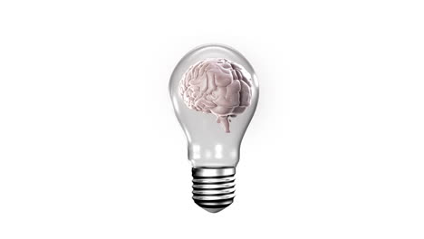Glühbirne-Mit-Rotierendem-Gehirn