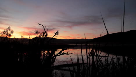 Naturszene-In-Südafrika-Bei-Sonnenuntergang