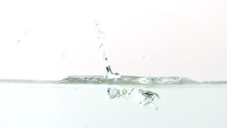 Kiwi-falling-in-water-on-white-background