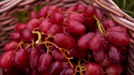 Red-grapes-in-a-basket-in-slow-motion