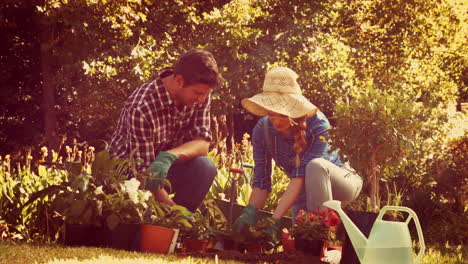 Pareja-Feliz-Haciendo-Jardinería-En-El-Parque