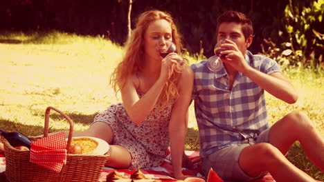 Happy-cute-couple-drinking-wine-and-having-picnic-