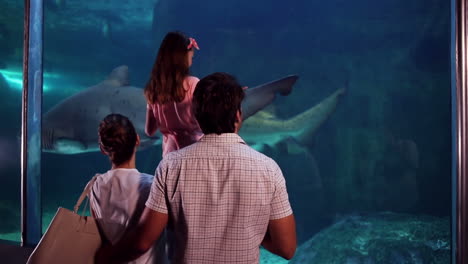 Glückliche-Familie,-Die-Fische-Im-Aquarium-Betrachtet