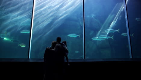 Glückliche-Familie-Blick-Auf-Fische-