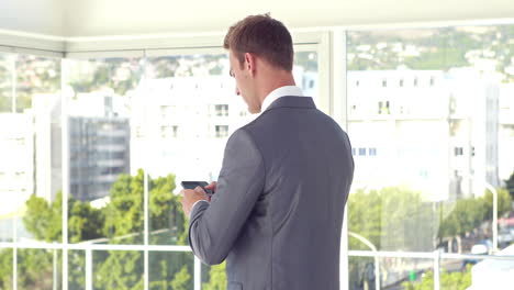 Rear-view-of-businessman-using-smartphone