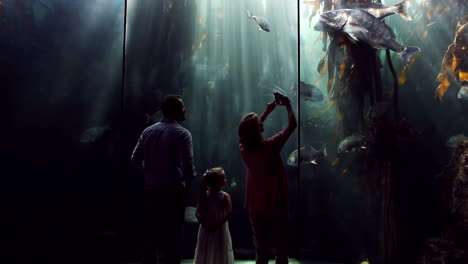 Happy-family-looking-at-fish-and-taking-pictures