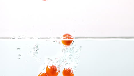 Cherry-tomatoes-falling-in-water-on-white-background