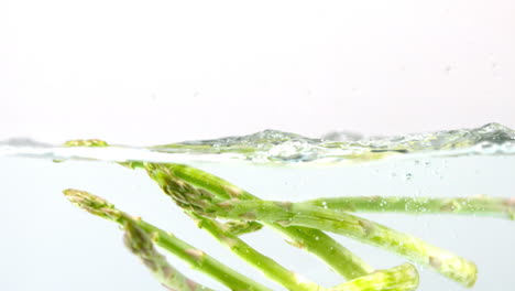 Asparagus-falling-in-water-on-white-background