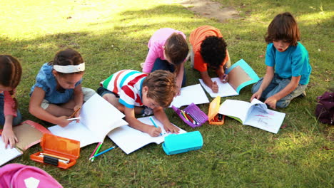 School-children-doing-homework-on-grass