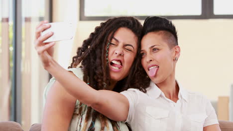 Lächelndes-Lesbisches-Paar-Auf-Der-Couch,-Das-Ein-Selfie-Macht