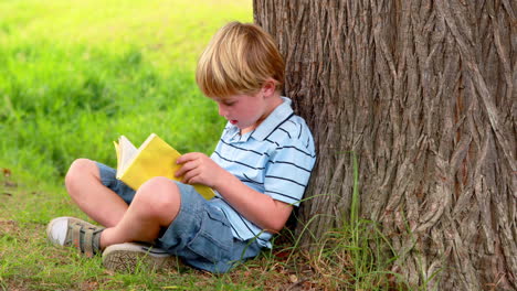 Little-boy-reading-a-book-