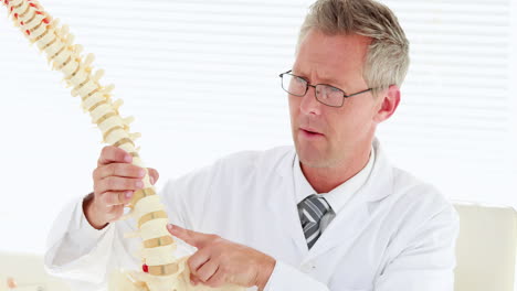 Doctor-looking-at-spine-model